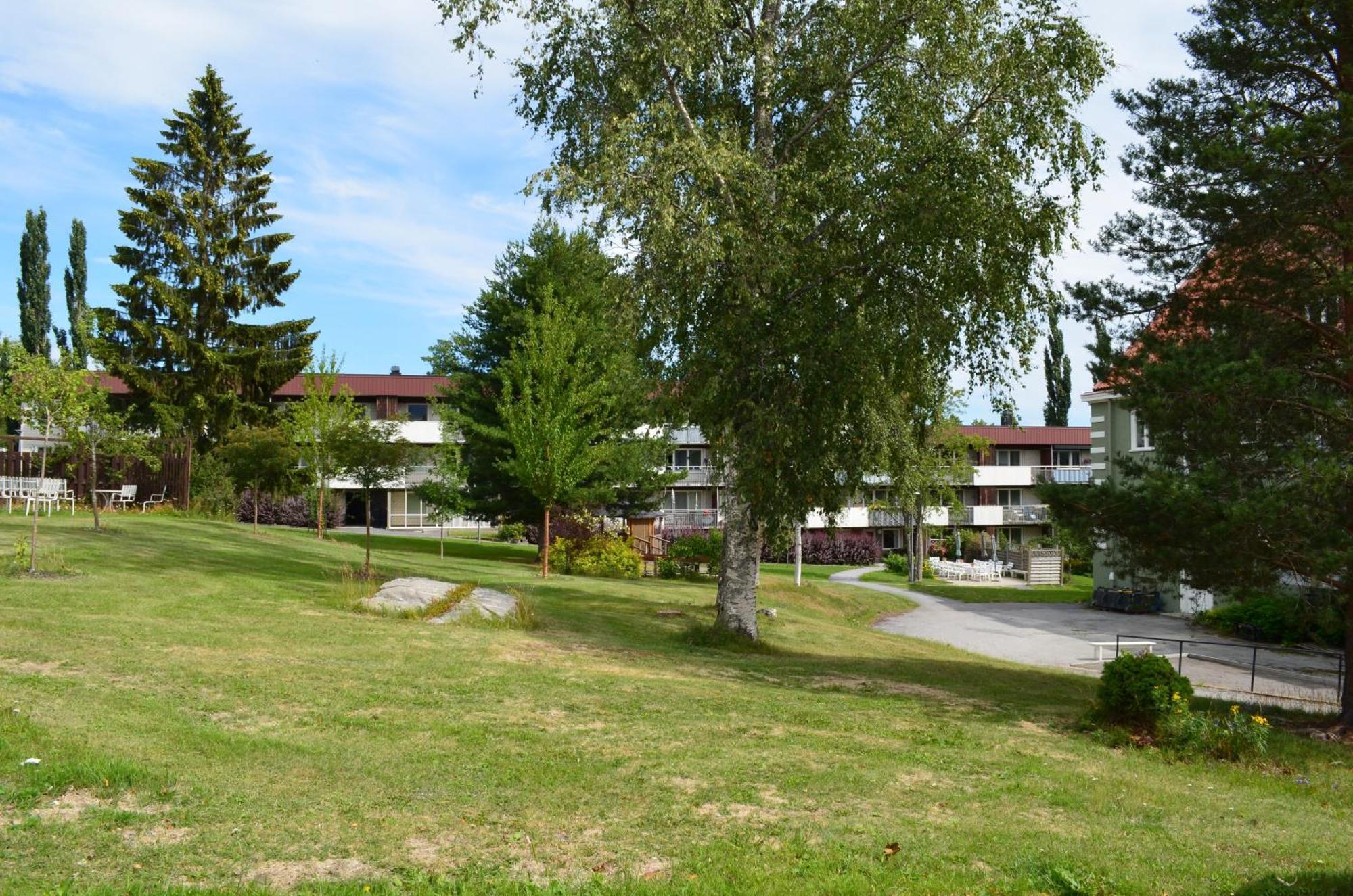HärnösandSoergardens Logi住宿加早餐旅馆 外观 照片