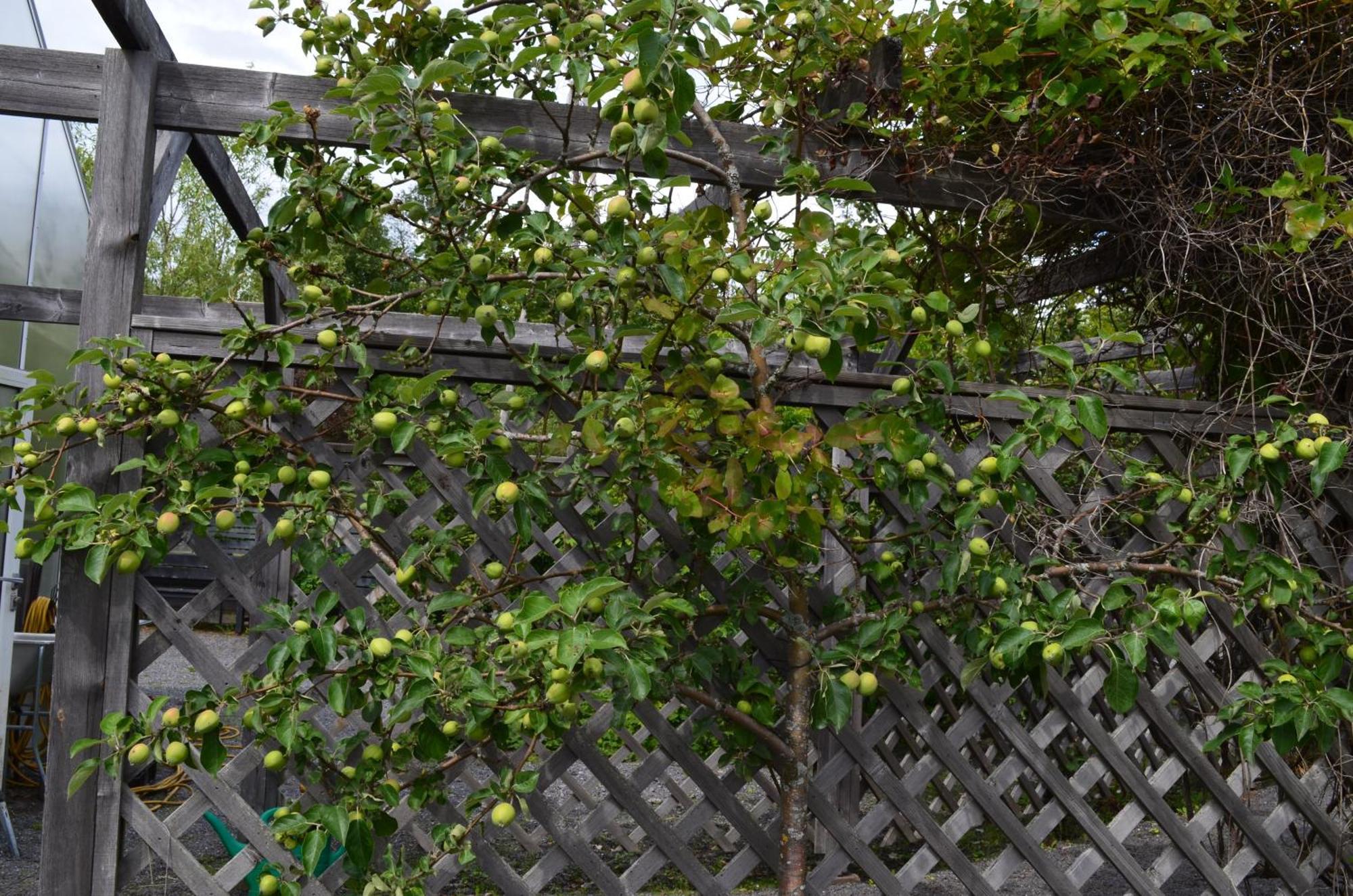 HärnösandSoergardens Logi住宿加早餐旅馆 外观 照片